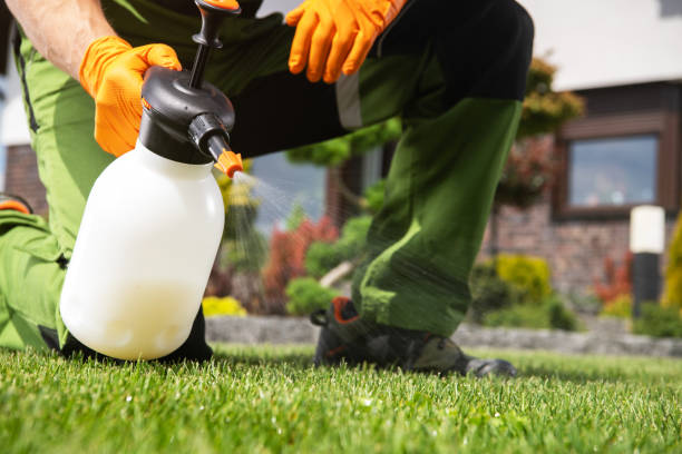 Best Pest Control Near Me in Holland, TX